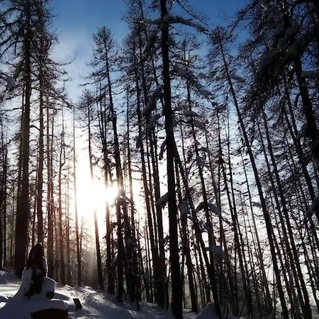 아파트 Au Coeur De A Proximite Des Pistes